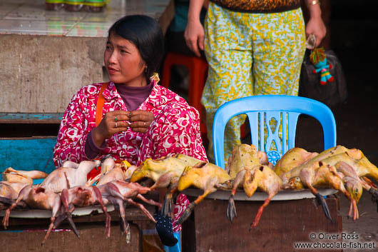 Selling chicken and ducks at Battambang´s central market 