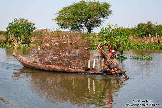 Transporting crab traps to Tonle Sap lake