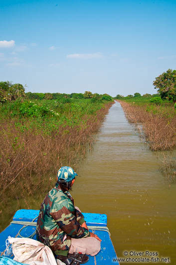 Navigating through a narrow gap in the vegetation near Tonle Sap lake