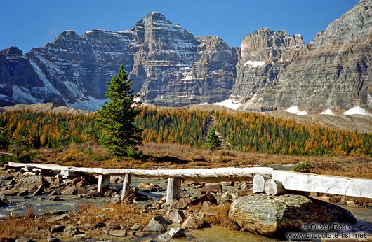 Wooden Bridge near Lake Louise