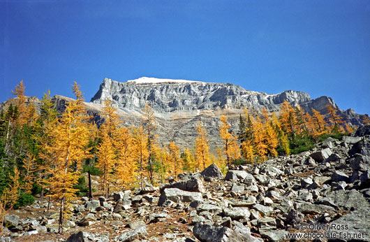 Mountains near Lake Louise