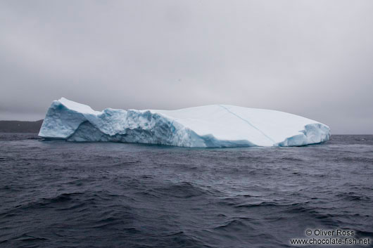 Iceberg near Bay Bulls