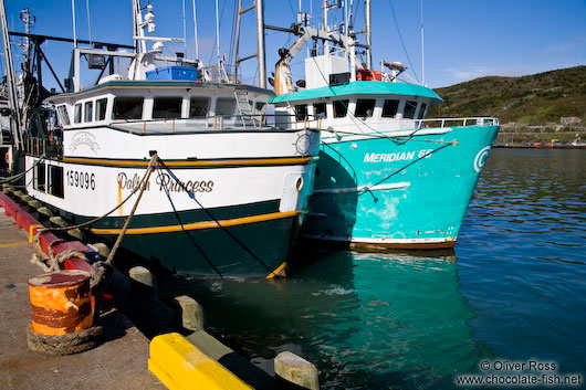 Fishing boats in St. John´s harbour 