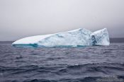 Travel photography:Iceberg near Bay Bulls, Canada