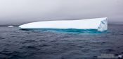 Travel photography:Iceberg near Bay Bulls, Canada