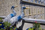 Travel photography:Two birds near the museum of civilisation in Quebec, Canada