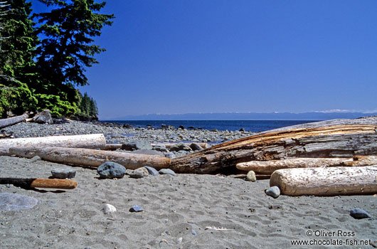 Beach on the Juan de Fuca Trail