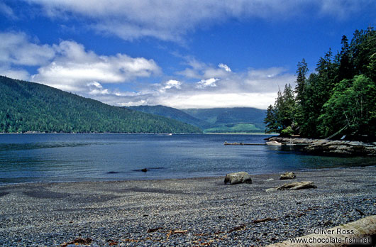 Vancouver Island Beach on the Juan de Fuca Trail