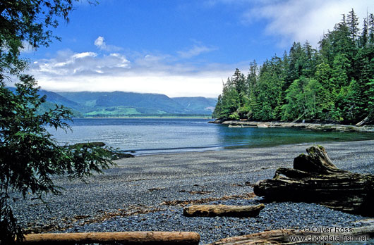 Vancouver Island Beach on the Juan de Fuca Trail