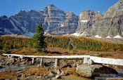 Travel photography:Wooden Bridge near Lake Louise, Canada