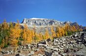 Travel photography:Mountains near Lake Louise, Canada