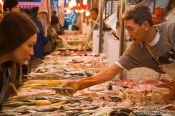 Travel photography:Hong Kong fish market , China