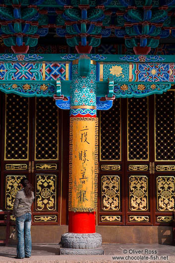 Kunming Yuantong temple detail