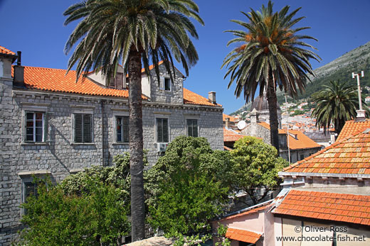 Dubrovnik houses