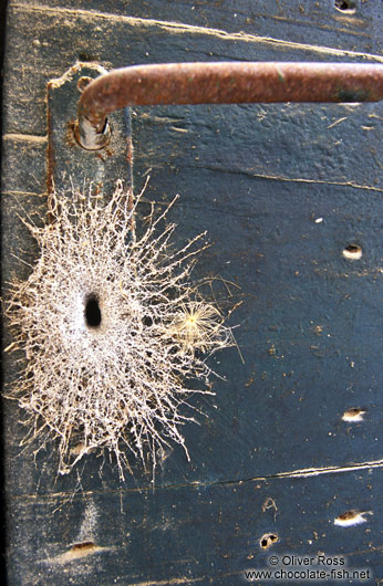 Spider web keyhole in Sibenik