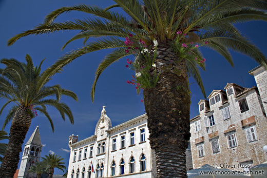 Houses with palm tree in Trogir