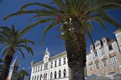 Travel photography:Houses with palm tree in Trogir, Croatia