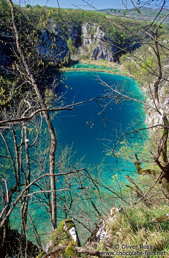 Lake in Plitvice (Plitvicka) National Park