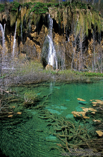 Small lakes with waterfall in Plitvice National Park