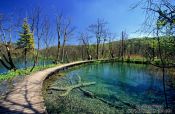 Travel photography:Walkway atop one of the many waterfalls in Plitvice National PArk, Croatia