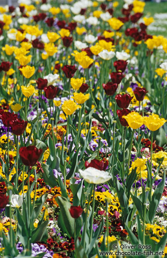 Flower bed outside Zagreb theatre