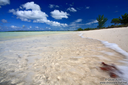 Red sea star caught by a wave at Cayo-las-Bruchas beach