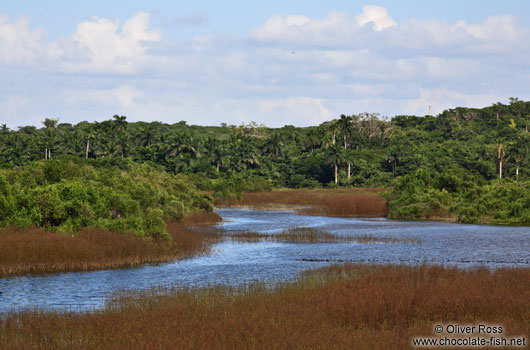 Estuary near Rancho Luna, south of Cienfuegos