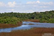 Travel photography:Estuary near Rancho Luna, south of Cienfuegos, Cuba