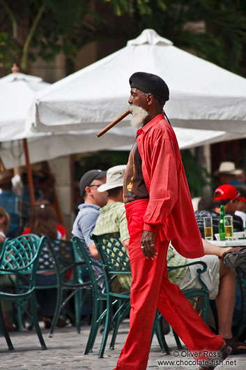 Havana cigar man