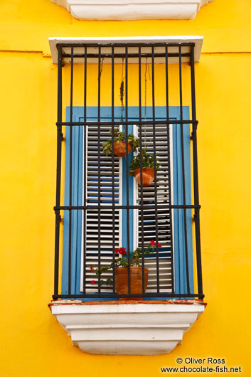 Window in Havana Vieja