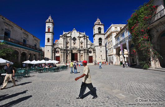 Havana Plaza de la Catedral