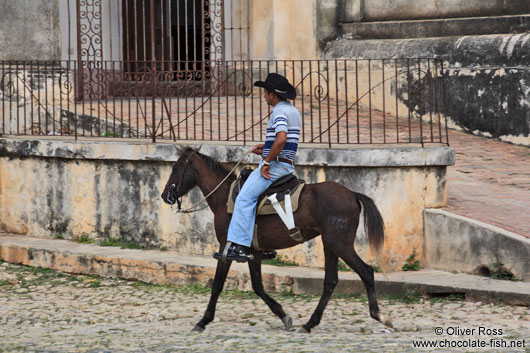 Trinidad cowboy