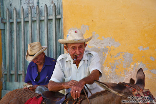 Trinidad man with donkey