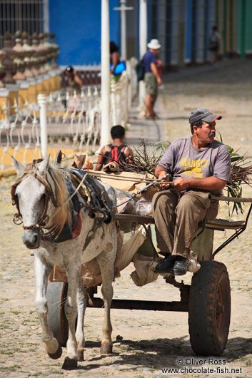 Man on horse carriage in Trinidad