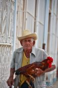 Travel photography:Old man with rooster in Trinidad, Cuba
