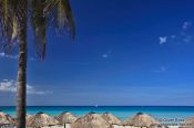 Travel photography:Sun umbrellas and palm tree on a beach in Varadero, Cuba