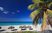 Travel photography:Sun umbrellas and palm tree on a beach in Varadero, Cuba