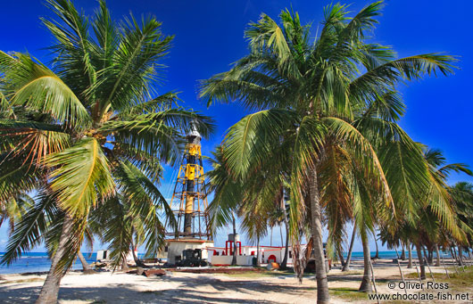 Palm trees with lighthouse at Cayo-Jutías beach