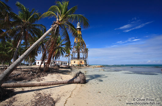 Palm trees with lighthouse at Cayo-Jutías beach