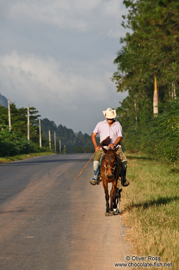 Man on horse in near Viñales