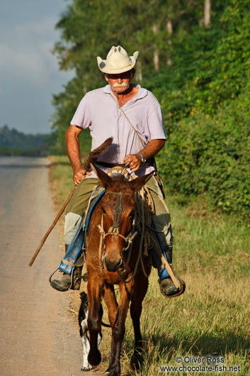 Man on horse near Viñales