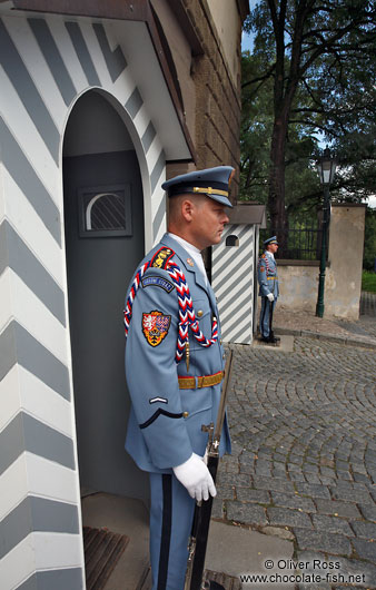 Castle guards