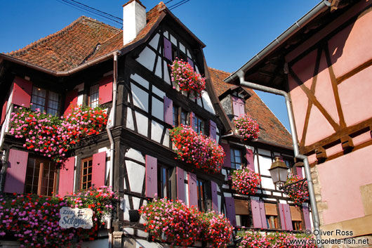 House "Zum Schnogaloch" in Obernai