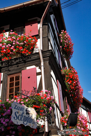 House "Zum Schnogaloch" in Obernai