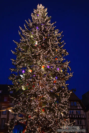 Christmas tree at the Strasbourg Christmas market