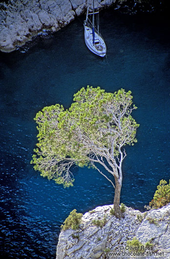 Boat in the Calanques de Provence