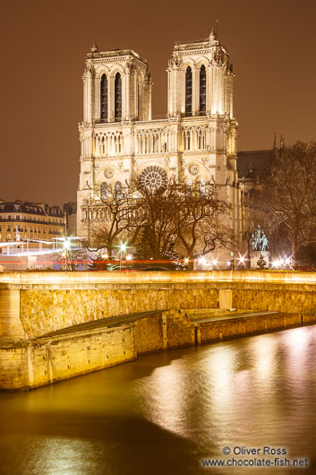 View of river Seine with Notre Dame cathedral by night
