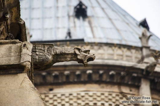 Gargoyle at Notre Dame cathedral in Paris