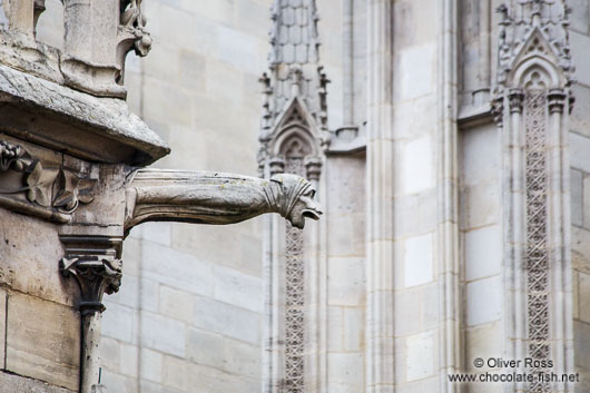 Gargoyle at Notre Dame cathedral in Paris