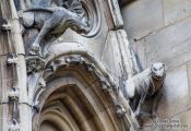 Travel photography:Facade detail of  Notre Dame cathedral in Paris, France